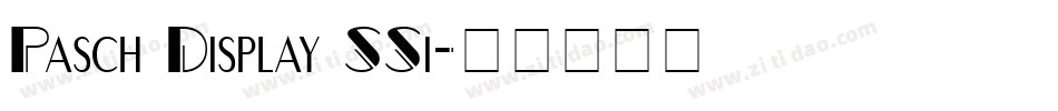 Pasch Display SSi字体转换